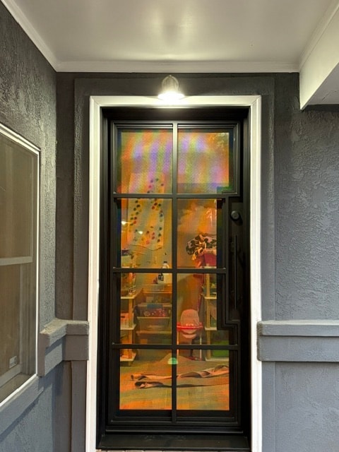 Black iron single door with glass panels